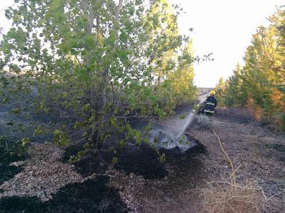 Incendio en el Peri-lago de Piedra del Aguila