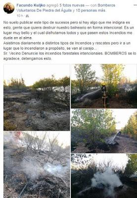 Incendio en el Peri-lago de Piedra del Aguila