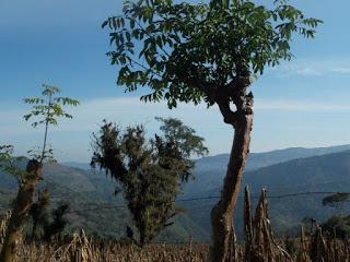 COMUNICADO DE PRENSA CONSEJO TIYAT TLALIViolación sistemá...