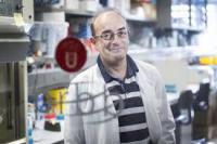 Un estudio genético descifra la expansión del Neolítico en Europa