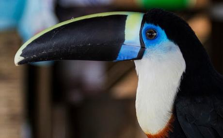 Con Leticia completamos la triple frontera Con Leticia completamos la triple frontera