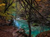 Belleza interminable