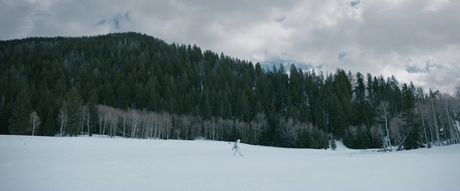 Wind River - 2017 Wind River - 2017