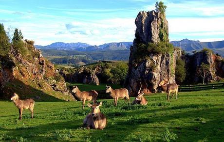 Parque de Cabárceno