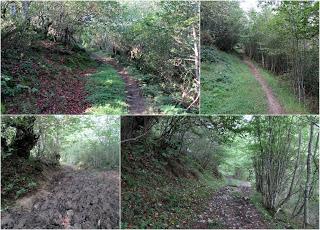 Cortes-Pena Ruea (Peña Rueda)-Lindes