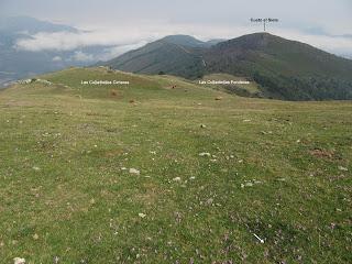 Cortes-Pena Ruea (Peña Rueda)-Lindes