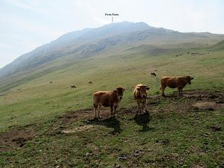 Cortes-Pena Ruea (Peña Rueda)-Lindes