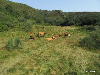 Cortes-Pena Ruea (Peña Rueda)-Lindes