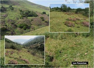 Cortes-Pena Ruea (Peña Rueda)-Lindes