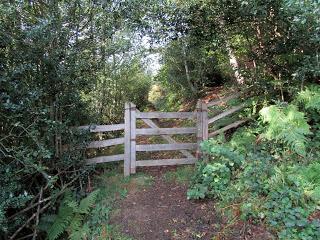 Cortes-Pena Ruea (Peña Rueda)-Lindes