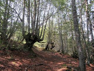 Cortes-Pena Ruea (Peña Rueda)-Lindes