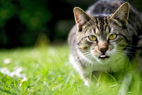 Los 3 tipos de atención en OPTIMA3®