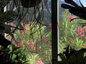 Venerdí Photosatriani