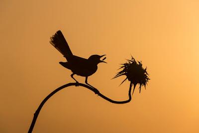 Cinco años en seis minutos