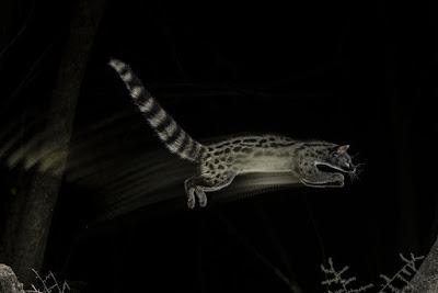 Cinco años en seis minutos