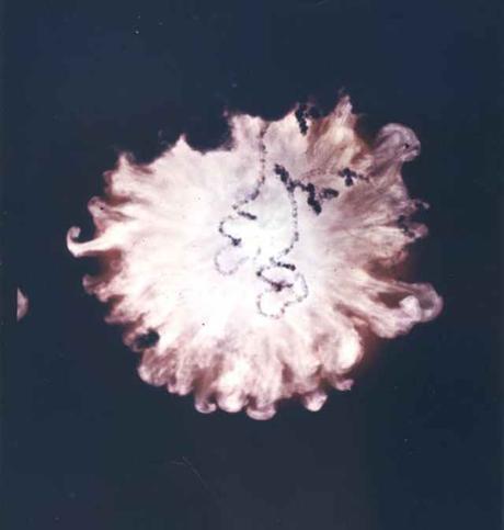 Desclasifican imágenes que muestran innumerables ataques nucleares a la atmósfera