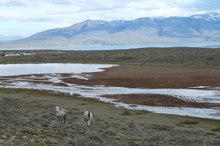 PASEOS POR LA RESERVA AWASI