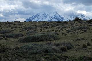 PASEOS POR LA RESERVA AWASI