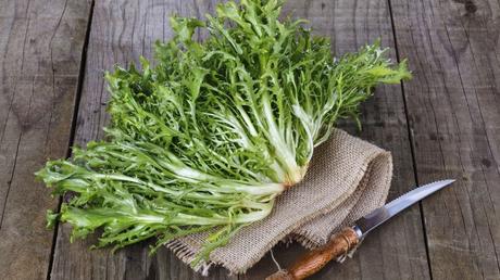 Cómo cultivar escarolas