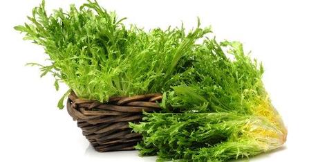 Resultado de imagen de escarola beneficios