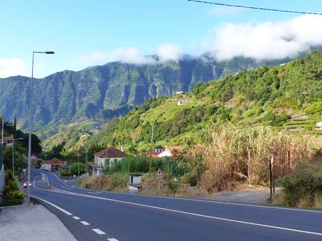 Madeira para celebrar los 40!