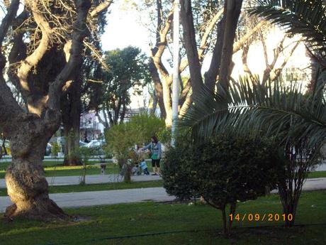 Una plaza amplia y fresca Una plaza amplia y fresca