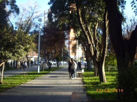 Una plaza amplia y fresca Una plaza amplia y fresca