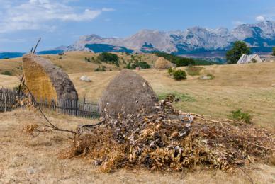 Montañas y cañones, el interior de Montenegro