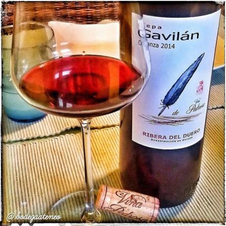 Cepa Gavilán Crianza 2014