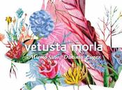 Vetusta Morla: disco hacen época