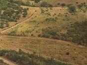 MUNICÍPIO LOULÉ FINAIS ÉPOCA MODERNAMoisés Ca...