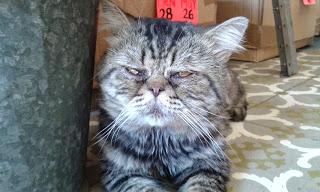 Y vendrán cosas peores...