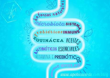 Prepara tu intestino para el invierno