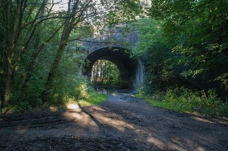 Mariela González: Historias del camino