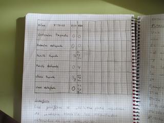 LAS SEMILLAS A LOS 10 DÍAS DE LA SIEMBRA LAS SEMILLAS A LOS 10 DÍAS DE LA SIEMBRA