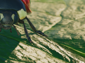 Descubre todo ofrece Xbox Insects