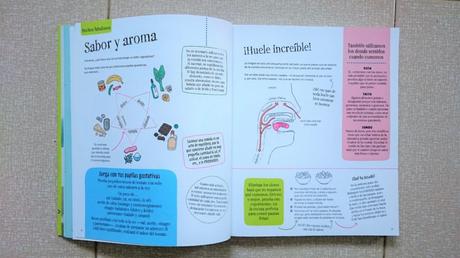 7 Libros de recetas para pequeños cocineros 7 Libros de recetas para pequeños cocineros