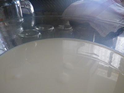 Yogures caseros fáciles