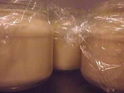 Yogures caseros fáciles