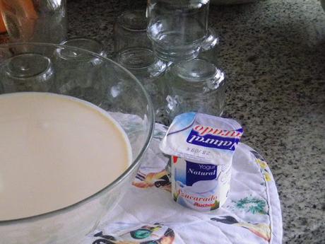Yogures caseros fáciles