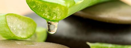 Desinfectante natural con aloe vera