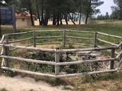 Trampa para lobos