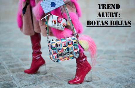 El color del otoño; el rojo