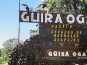 Güira Oga: refugio animales silvestres