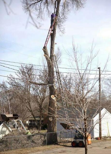 10 Fotos de abuelos locos y graciosos