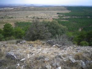 Las huellas del último incendio Las huellas del último incendio