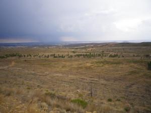 Las huellas del último incendio Las huellas del último incendio