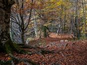 rincones explorar