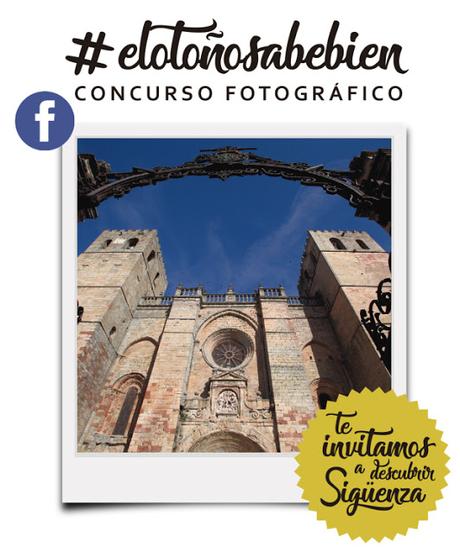 CONCURSO FOTOGRÁFICO JORNADAS MICOLÓGICAS DE SIGÜENZA