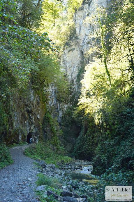 Espectáculo de la Naturaleza: Pasarela de Holtzarte y Gargantas de Kakueta